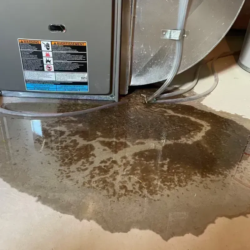 Appliance Leak Cleanup in Guthrie, KY